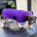 Long neck coat - Purple